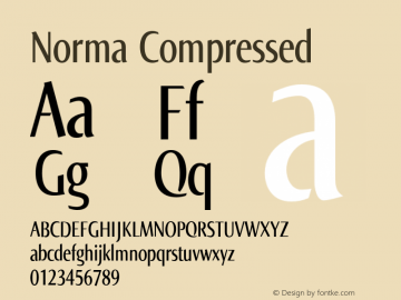 Norma Compressed Version 2.00, build 4, s3图片样张