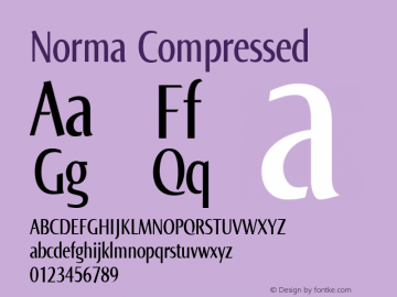 Norma Compressed Version 2.00, build 3, s3图片样张