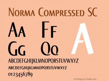 Norma Compressed SC Version 2.00, build 3, s3图片样张