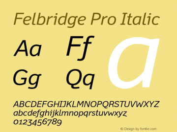 FelbridgePro-Italic Version 1.100图片样张