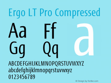 ErgoLTPro-Compressed Version 1.000;PS 001.000;hotconv 1.0.38图片样张
