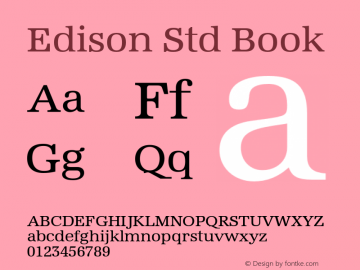 EdisonStd-Book Version 1.00图片样张