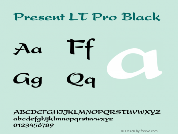 Present LT Pro Black Version 3.00 Build 1000图片样张