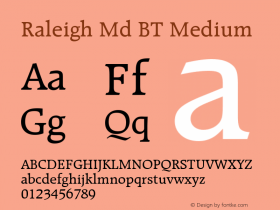 Raleigh Md BT Medium Version 1.01 emb4-OT图片样张