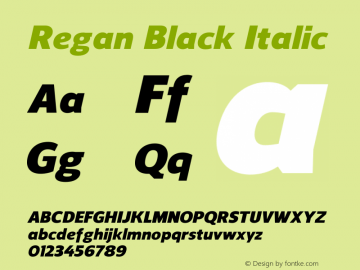 Regan-BlackItalic Version 1.001;PS 001.001;hotconv 1.0.56;makeotf.lib2.0.21325图片样张