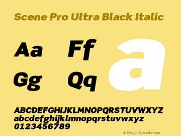 ScenePro-UltraBlackIt Version 1.008;PS 001.000;Core 1.0.38;makeotf.lib1.6.5960图片样张