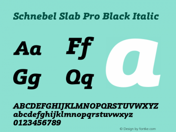 Schnebel Slab Pro Black Italic Version 1.000;hotconv 1.0.105;makeotfexe 2.5.65592图片样张