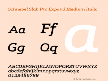 Schnebel Slab Pro Expand Medium Italic Version 1.000;hotconv 1.0.105;makeotfexe 2.5.65592图片样张