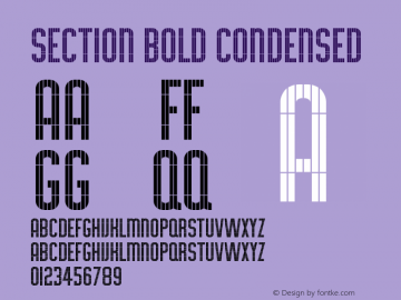 Section Condensed Bold Version 1.00图片样张