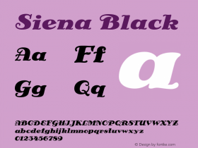 Siena Black Version 1.00图片样张