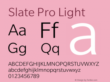 Slate Pro Light Version 1.01, build 10, s3图片样张