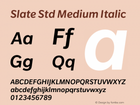 Slate Std Medium Italic Version 1.01, build 10, s3图片样张