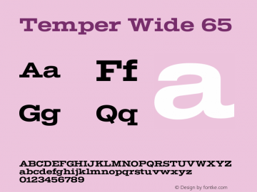 Temper Wide 65 Version 2.001;PS 002.001;hotconv 1.0.88;makeotf.lib2.5.64775图片样张
