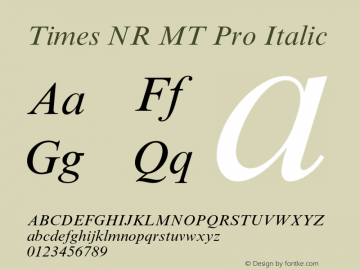 TimesNRMTPro-Italic Version 1.000 Build 1000图片样张