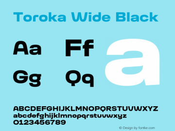 Toroka Wide Black Version 001.000 April 2021图片样张