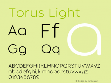 Torus Light Version 1.000;PS 001.000;hotconv 1.0.88;makeotf.lib2.5.64775图片样张