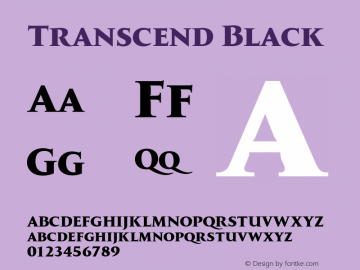 Transcend Black Version 1.000;hotconv 1.0.109;makeotfexe 2.5.65596图片样张