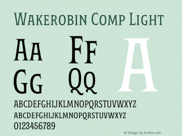 Wakerobin Comp Light Version 1.00图片样张