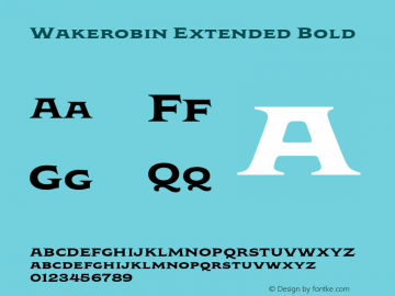 Wakerobin Extended Bold Version 1.00图片样张