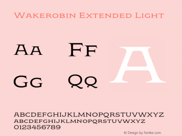 Wakerobin Extended Light Version 1.00图片样张