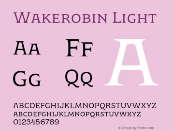 Wakerobin Light Version 1.00图片样张