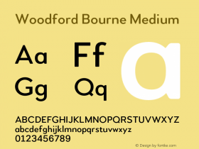 Woodford Bourne Medium Version 2.000;FEAKit 1.0图片样张
