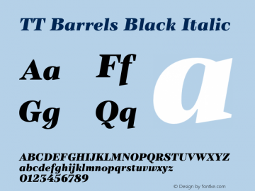 TT Barrels Black Italic Version 1.010.27102021图片样张