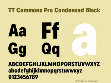 TT Commons Pro Condensed Black Version 3.000.09052021图片样张