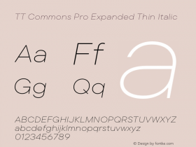 TT Commons Pro Expanded Thin Italic Version 3.000.09052021图片样张