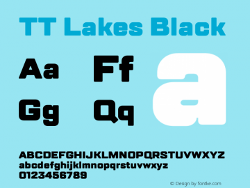 TT Lakes Black Version 1.000图片样张