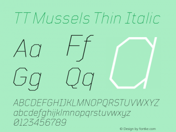 TT Mussels Thin Italic Version 1.010.17122020图片样张