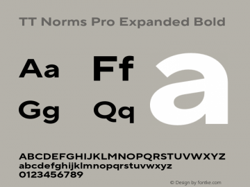 TT Norms Pro Expanded Bold Version 3.000.12072021图片样张