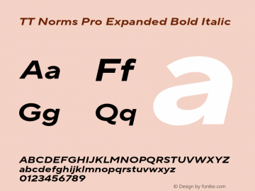 TT Norms Pro Expanded Bold Italic Version 3.000.12072021图片样张