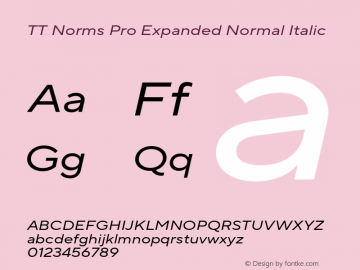 TT Norms Pro Expanded Normal Italic Version 3.000.12072021图片样张