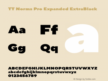 TT Norms Pro Expanded ExtraBlack Version 3.000.12072021图片样张