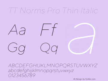 TT Norms Pro Thin Italic Version 3.000.12072021图片样张