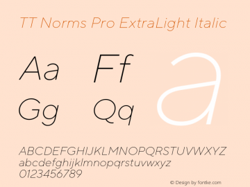 TT Norms Pro ExtraLight Italic Version 3.000.12072021图片样张