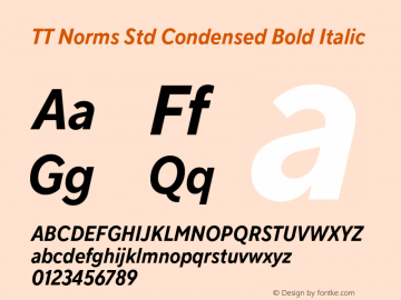 TT Norms Std Condensed Bold Italic Version 1.000.09042020图片样张