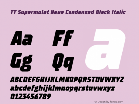 TT Supermolot Neue Condensed Black Italic Version 2.000.04082021图片样张