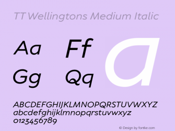 TT Wellingtons Medium Italic Version 1.010.03122021图片样张