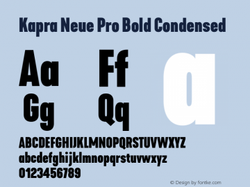 Kapra Neue Pro Bold Condensed Version 1.000;PS 001.000;hotconv 1.0.88;makeotf.lib2.5.64775图片样张