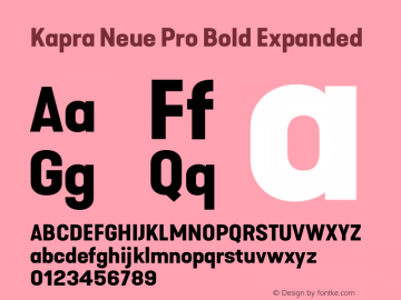 Kapra Neue Pro Bold Expanded Version 1.000;PS 001.000;hotconv 1.0.88;makeotf.lib2.5.64775图片样张