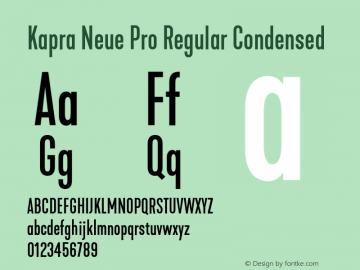 Kapra Neue Pro Regular Condensed Version 1.000;PS 001.000;hotconv 1.0.88;makeotf.lib2.5.64775图片样张