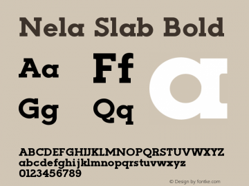 Nela Slab Bold Version 1.000;FEAKit 1.0图片样张