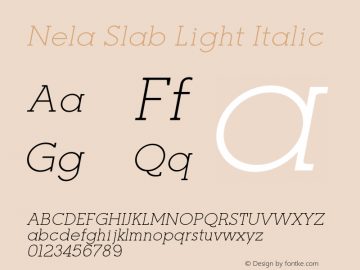 Nela Slab Light Italic Version 1.000;FEAKit 1.0图片样张