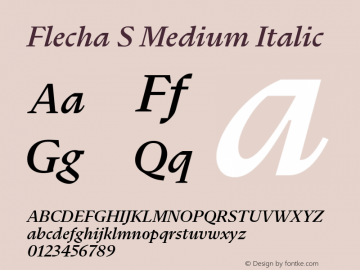 Flecha S Medium Italic Version 2.002图片样张