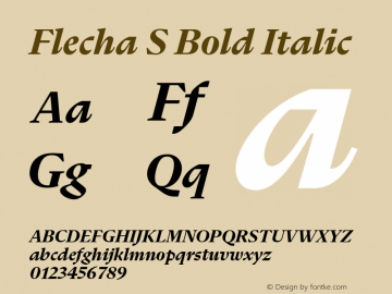 Flecha S Bold Italic Version 2.002图片样张