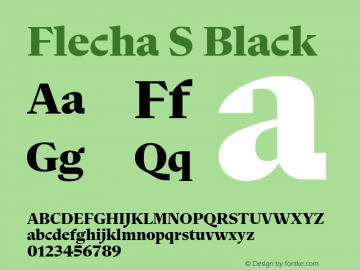 Flecha S Black Version 2.002图片样张