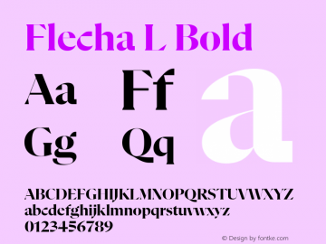 Flecha L Bold Version 2.002图片样张