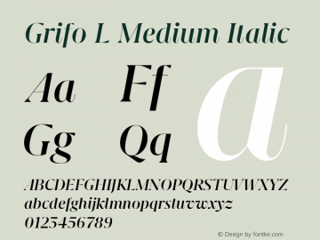 Grifo L Medium Italic Version 2.002图片样张